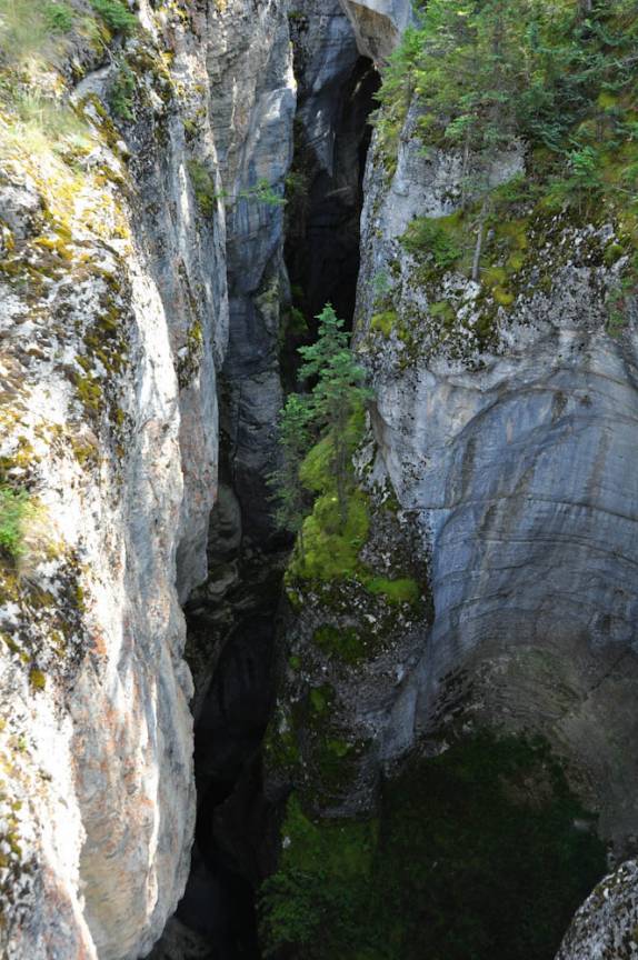 O profundo canyon do Maligne River, no Jasper National Park, em Alberta, no Canadá